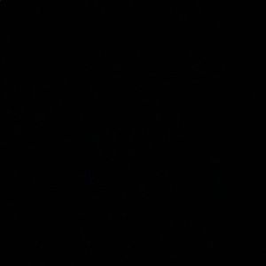 Meet your Posher, Ally